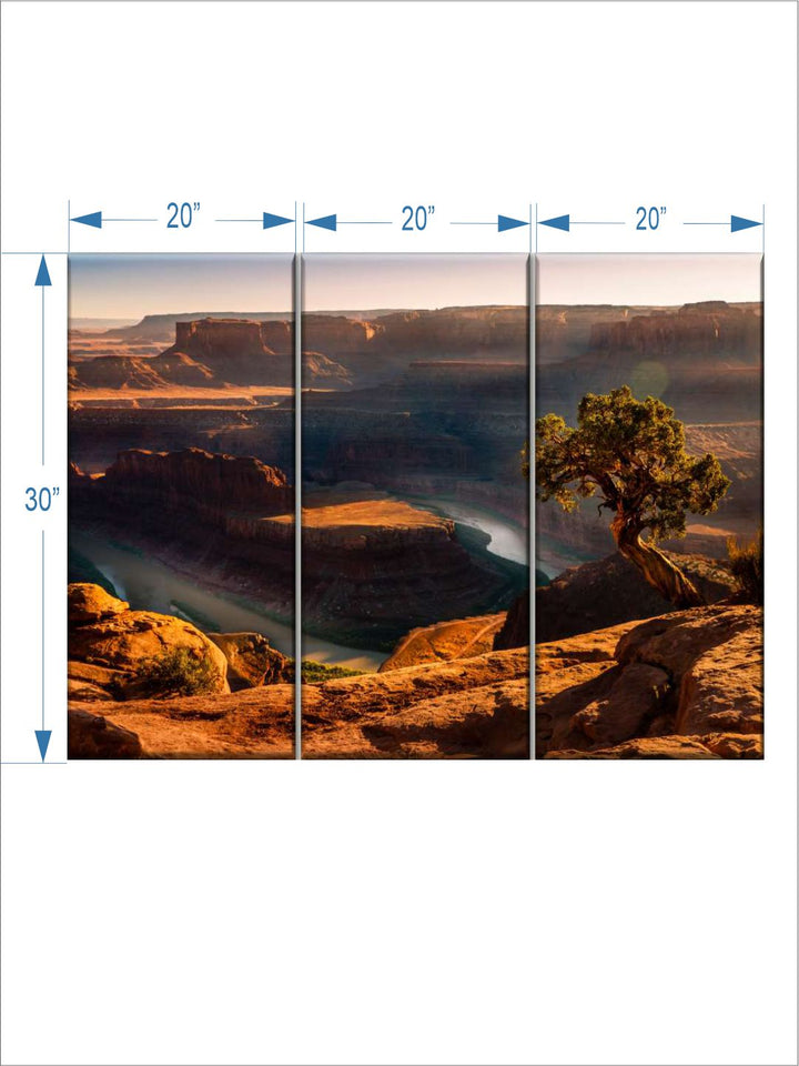 Gallery Set