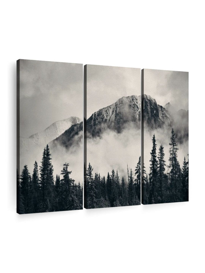 Gallery Set