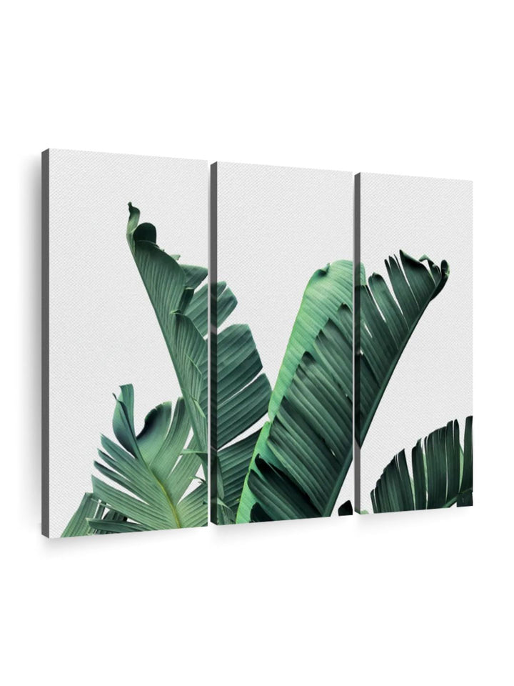 Gallery Set