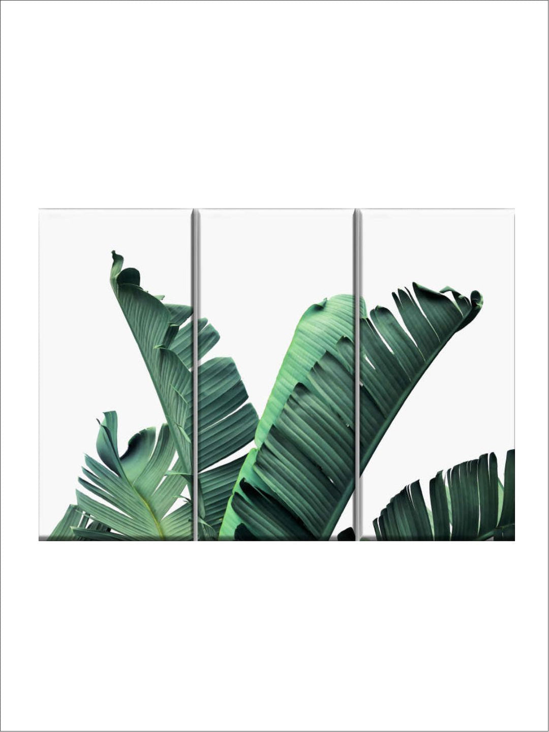 Gallery Set