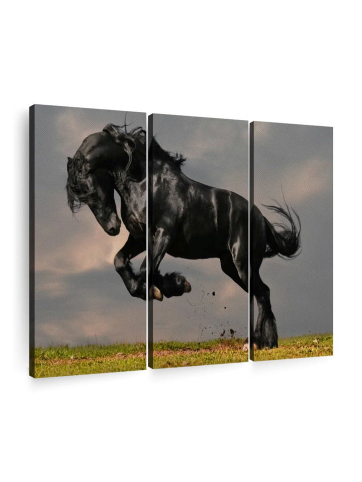 Gallery Set