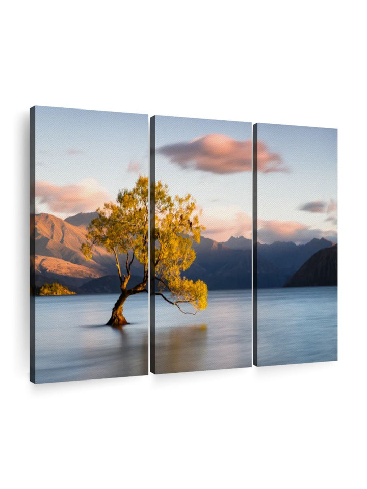 Gallery Set