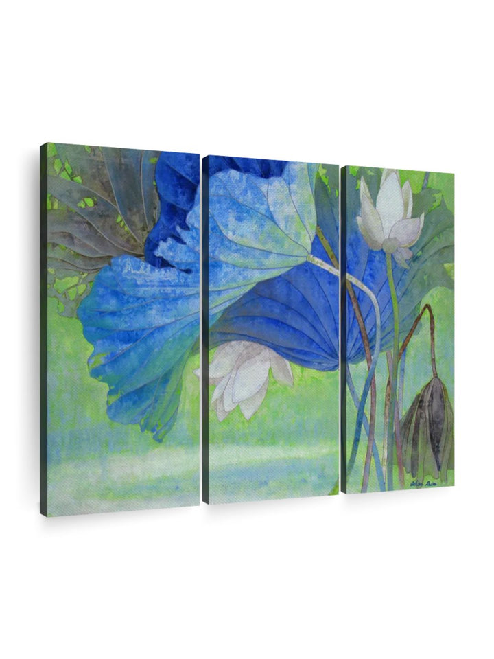 Gallery Set