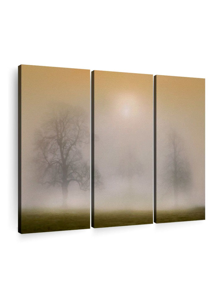 Gallery Set