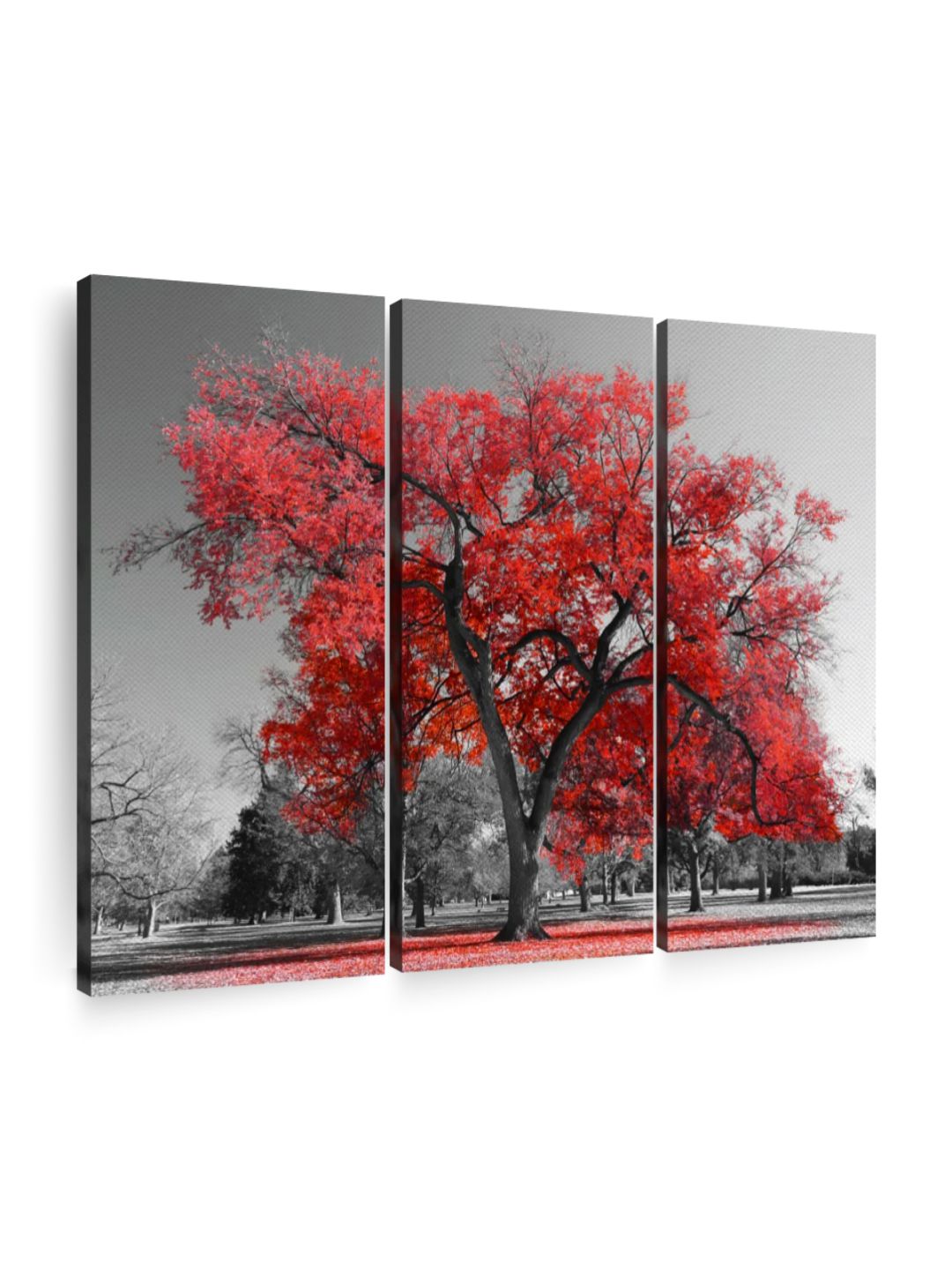 Gallery Set