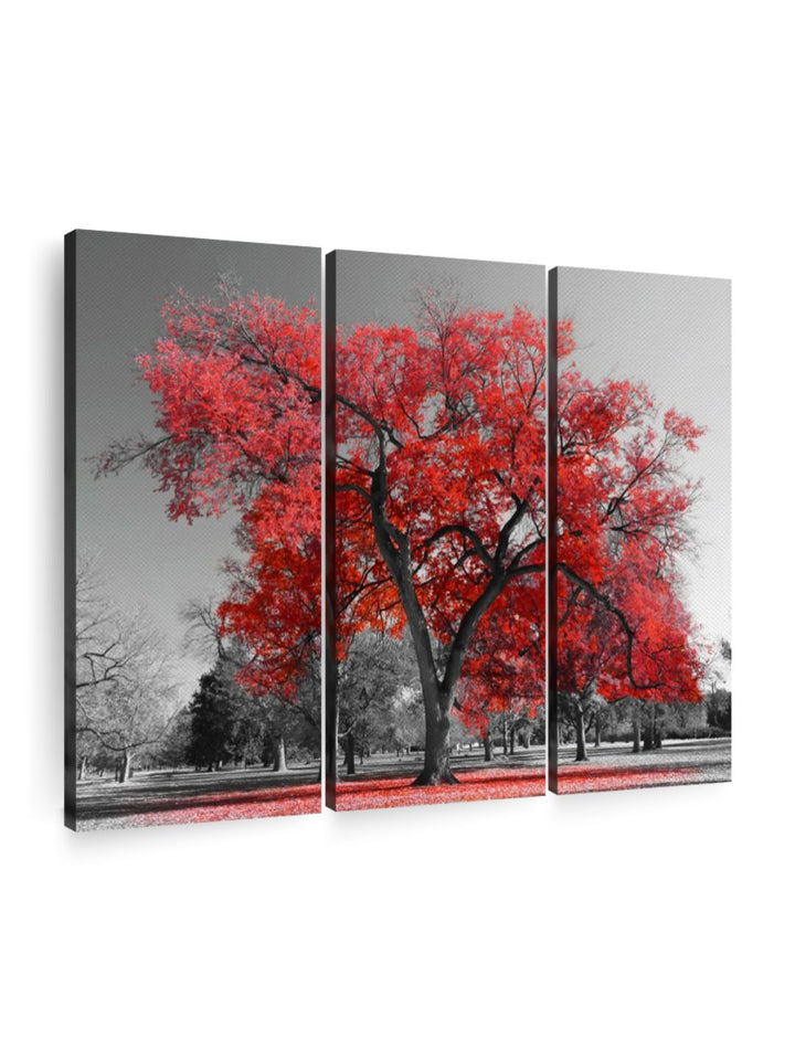Gallery Set