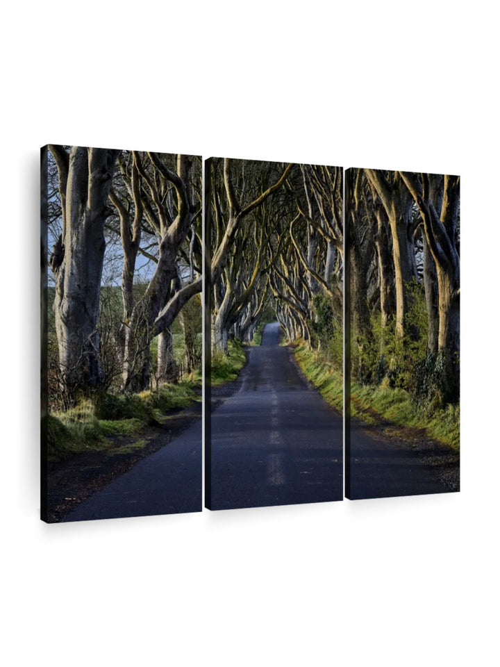 Gallery Set