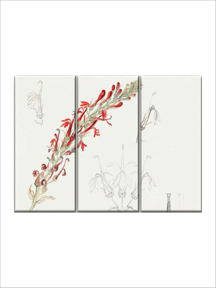 Gallery Set