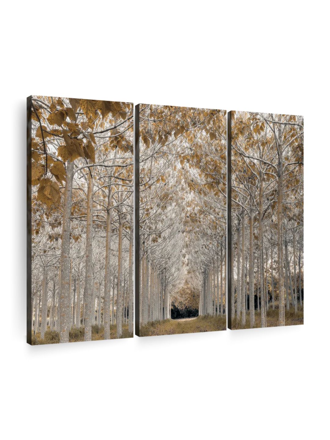 Gallery Set