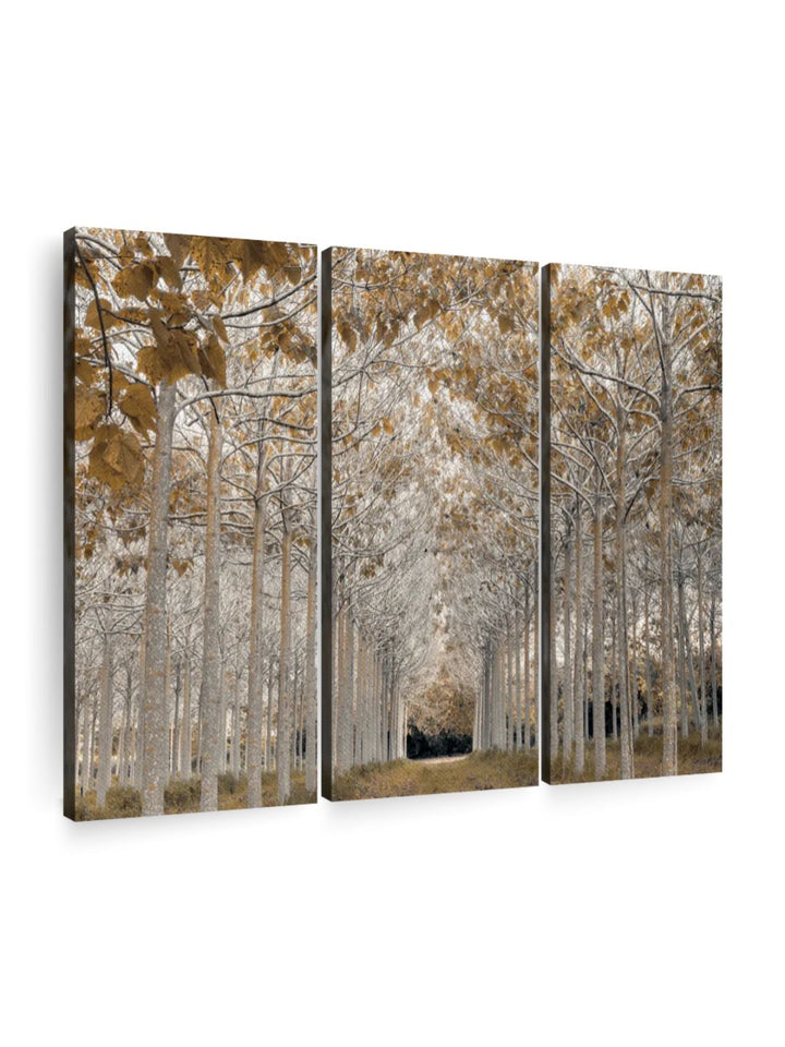 Gallery Set