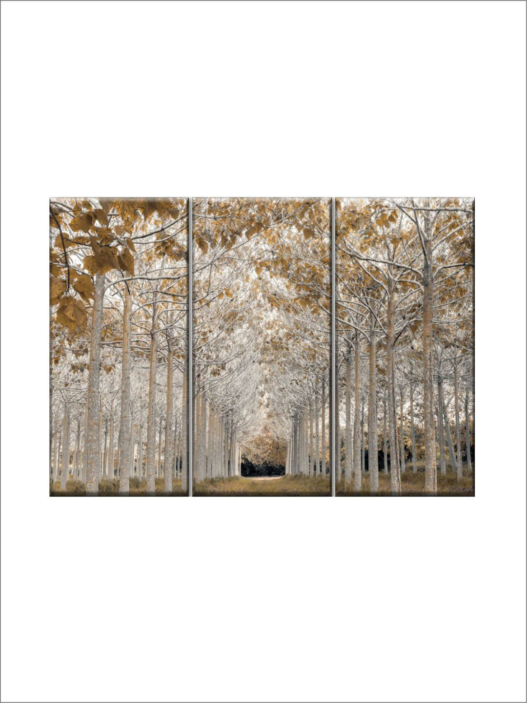 Gallery Set
