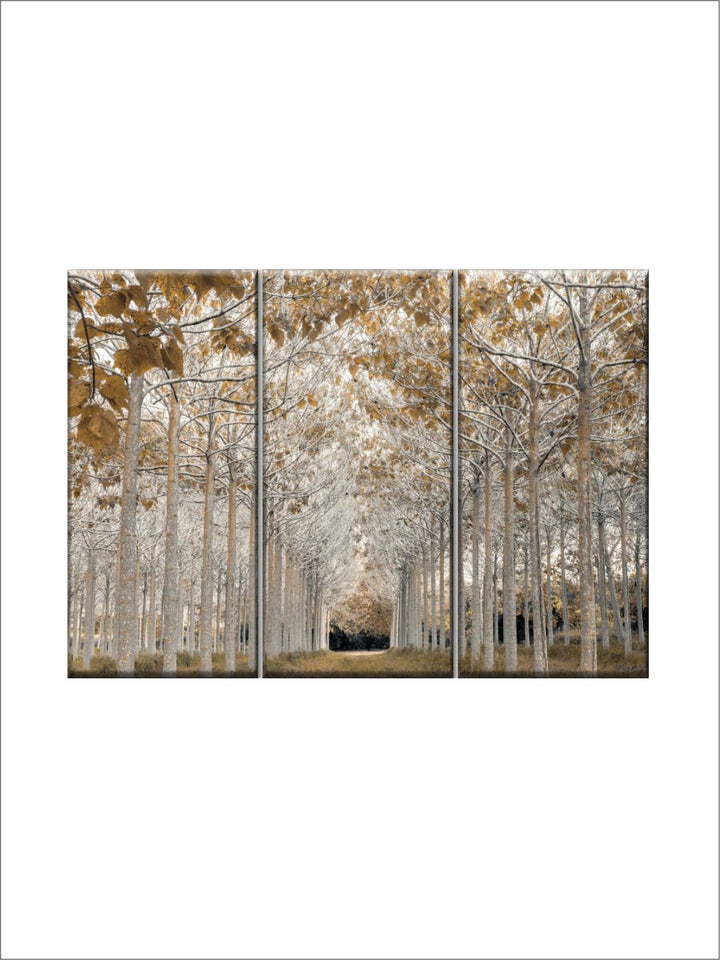 Gallery Set