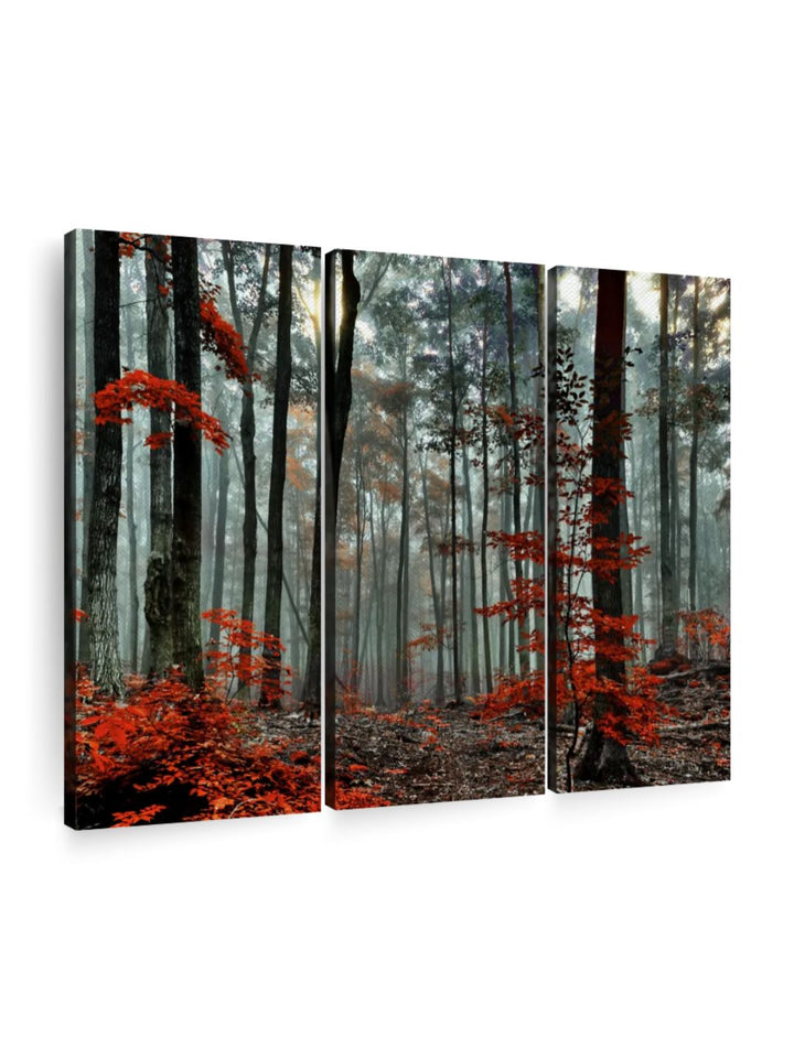 Gallery Set