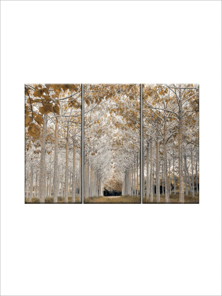 Gallery Set