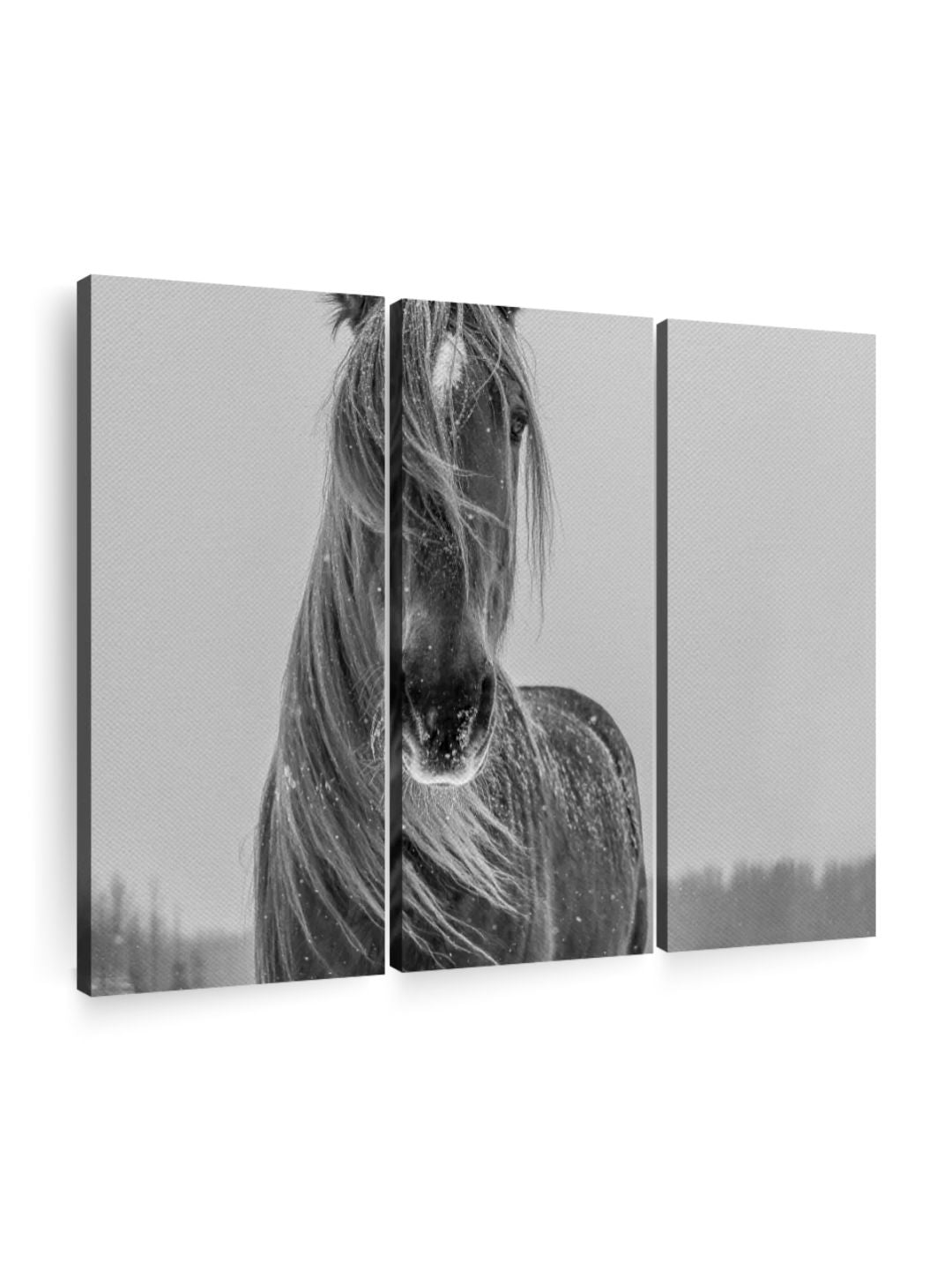 Gallery Set