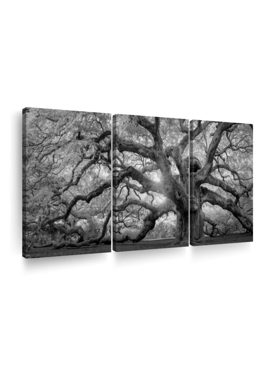 Gallery Set