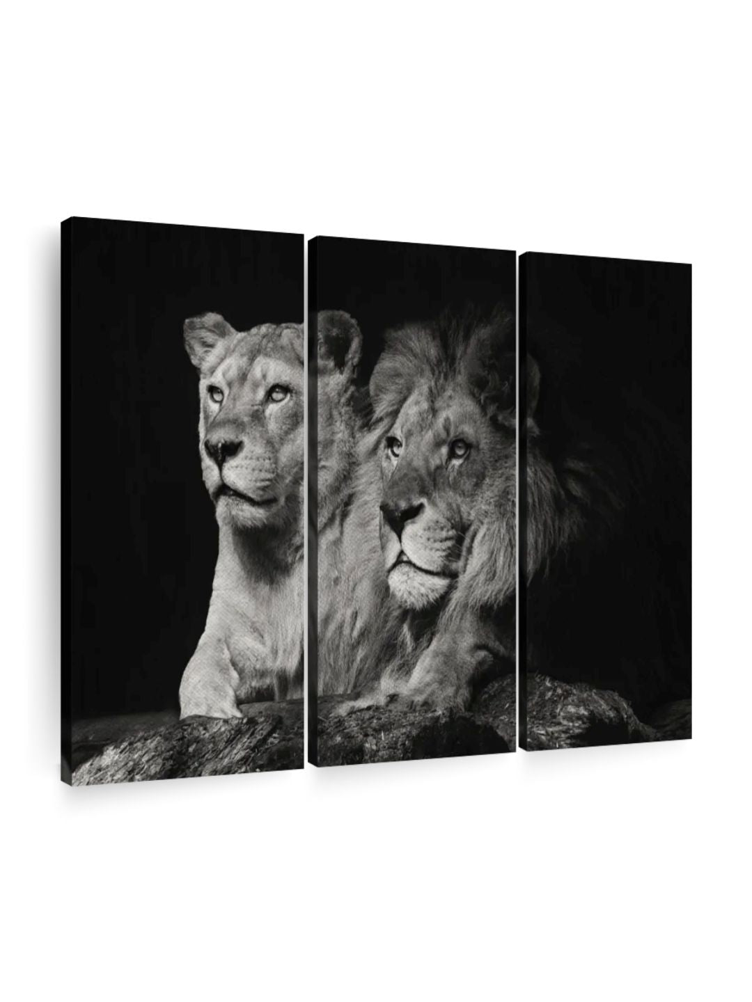 Gallery Set