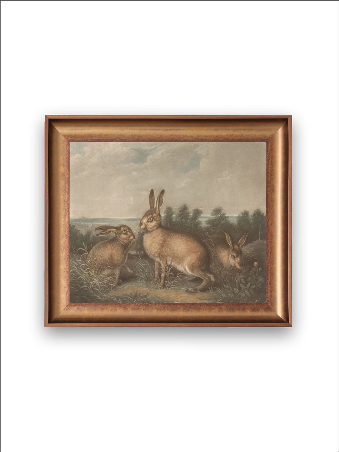 The Vintage Artistry Beigerabbit Painting Wall Art