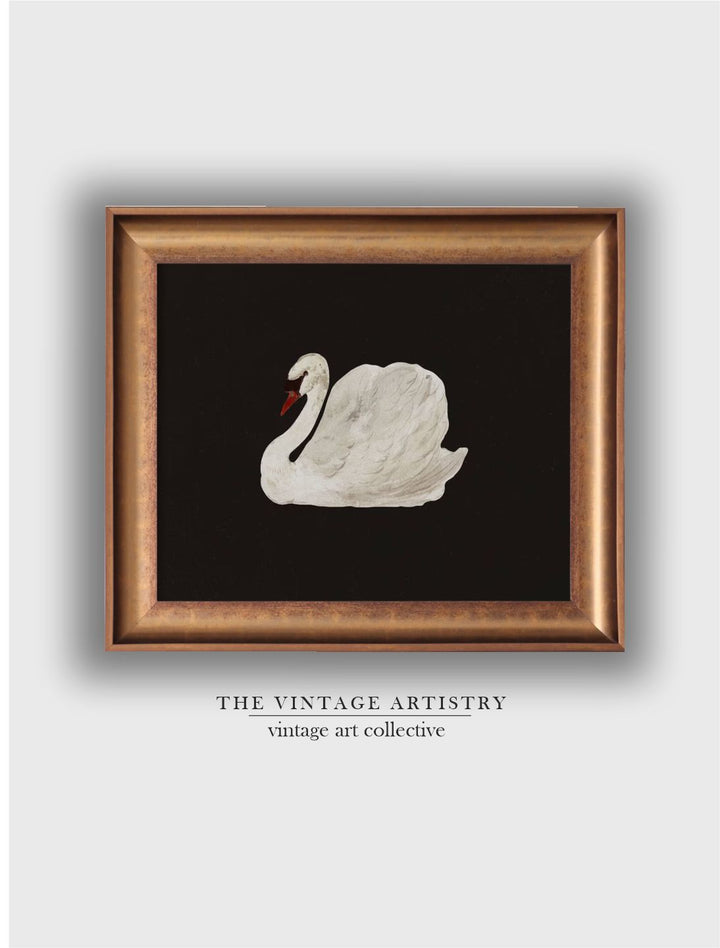The Vintage Artistry Black & White Antique Swan Painting Wall Art