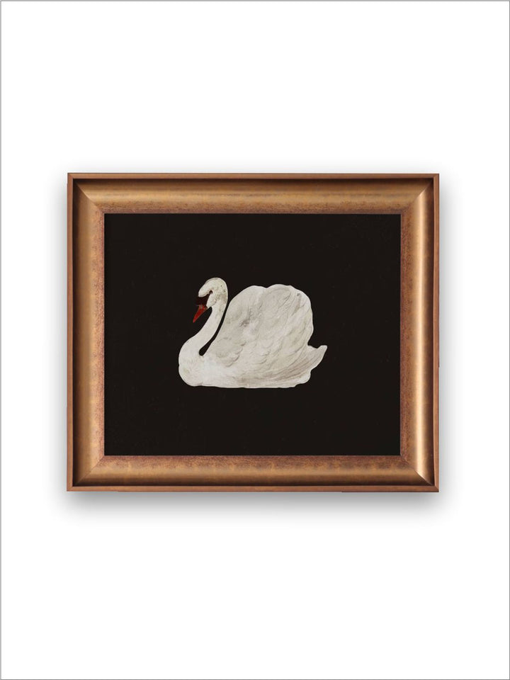 The Vintage Artistry Black & White Antique Swan Painting Wall Art
