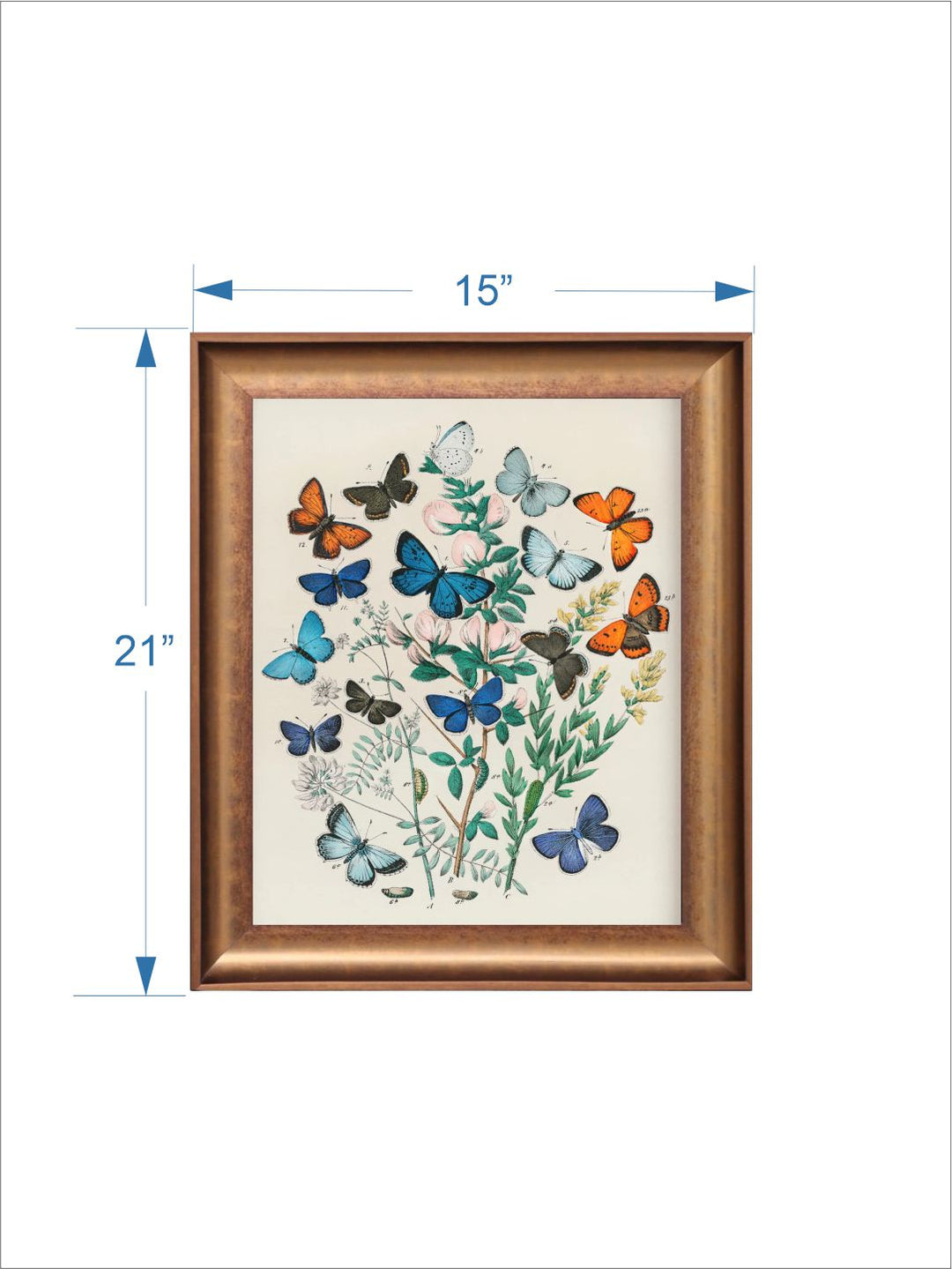 The Vintage Artistry Off White & Blue Butterfly Illustration Wall Painting