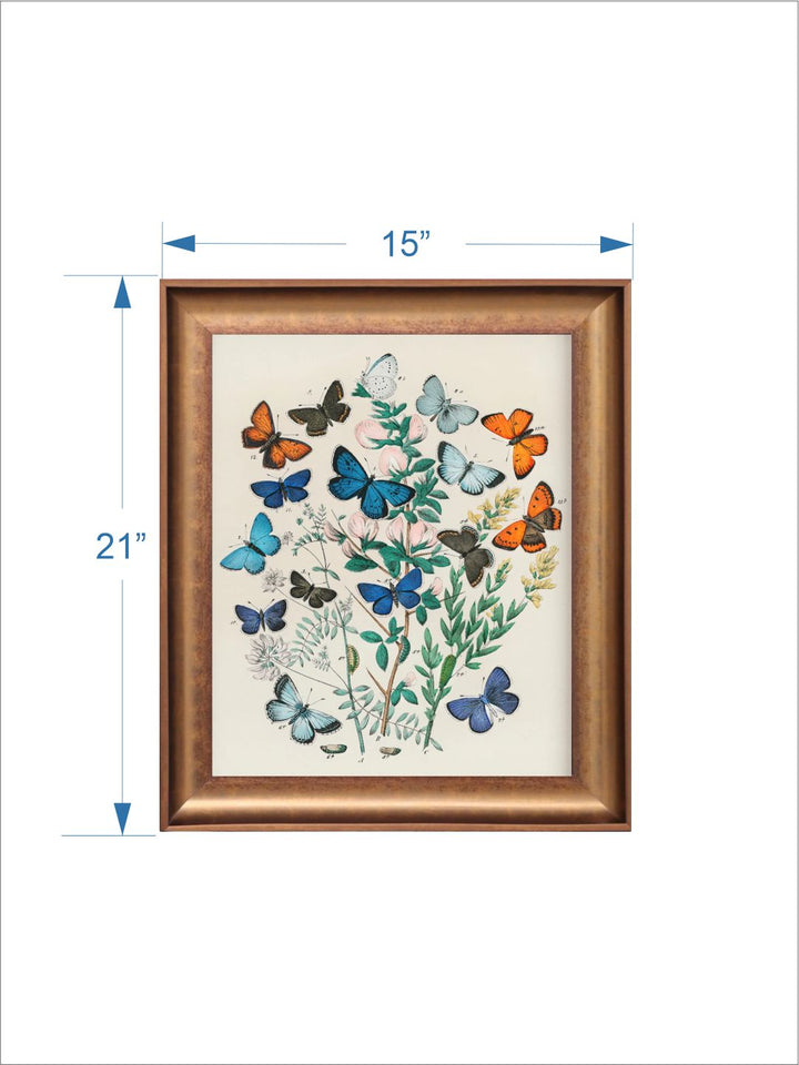 The Vintage Artistry Off White & Blue Butterfly Illustration Wall Painting