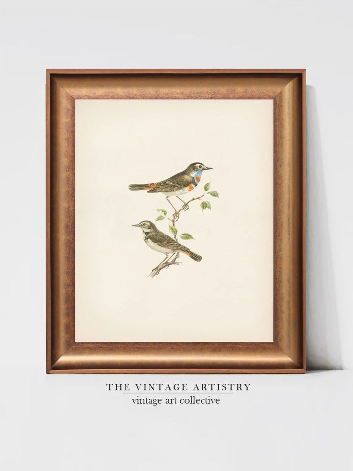 The Vintage Artistry Brown & Greenbirds Wall Painting With Frame