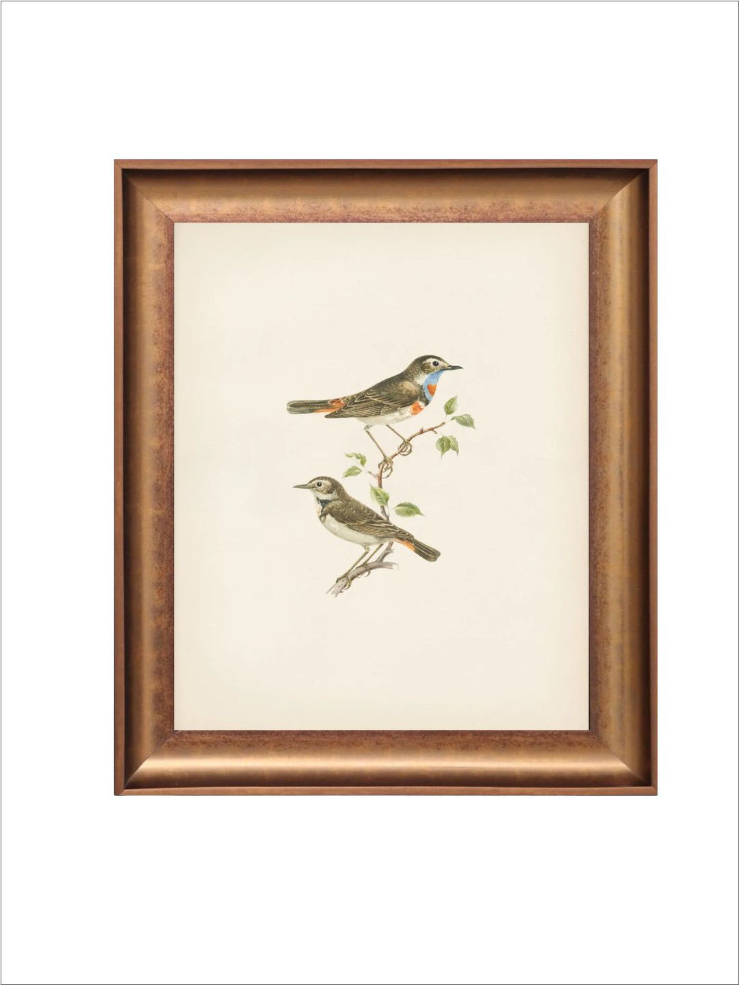 The Vintage Artistry Brown & Greenbirds Wall Painting With Frame