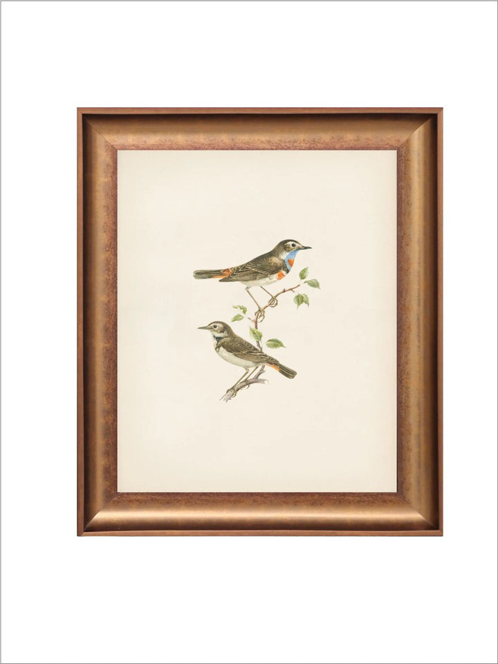 The Vintage Artistry Brown & Greenbirds Wall Painting With Frame