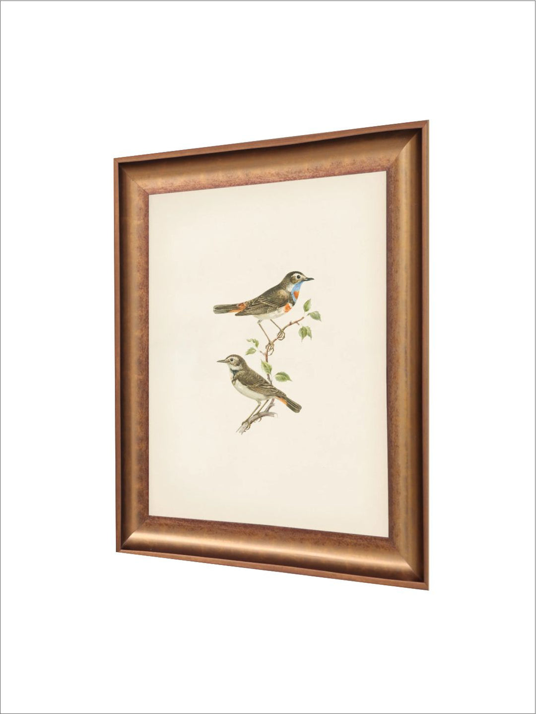 The Vintage Artistry Brown & Greenbirds Wall Painting With Frame