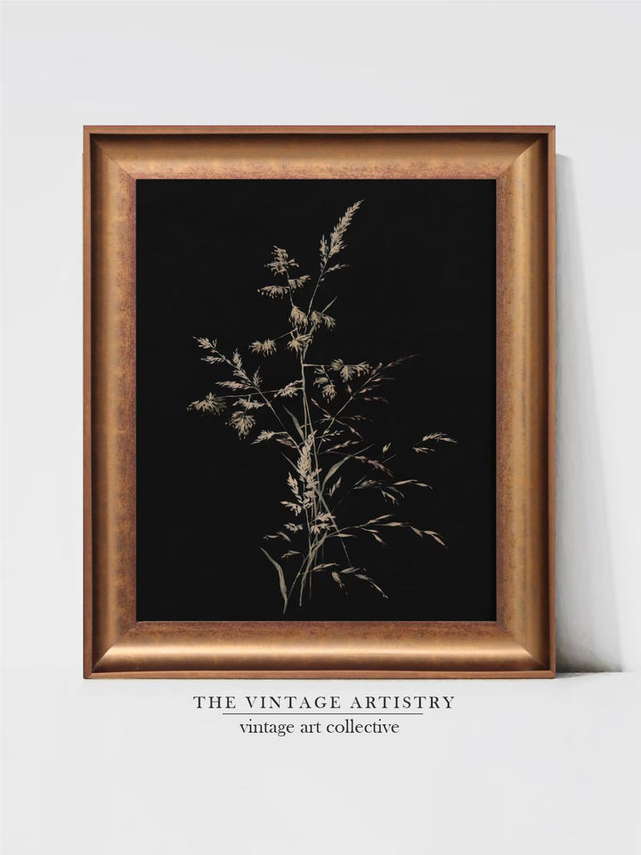 The Vintage Artistry Black Simple Moody Background Illustration Wooden Framed Wall Art